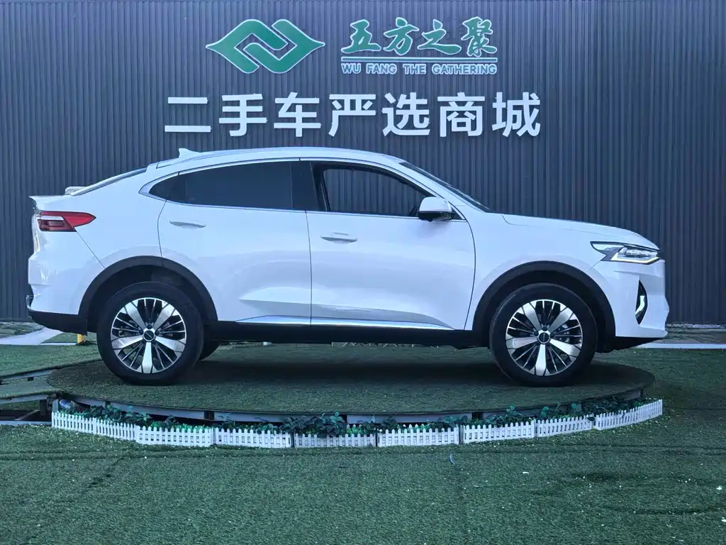 Haval F7x 2021 — фото 4