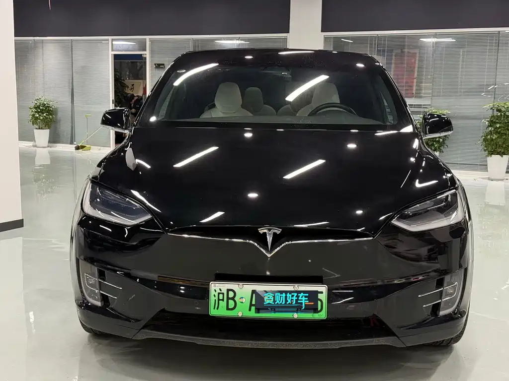 Tesla Model X 2018 — фото 2