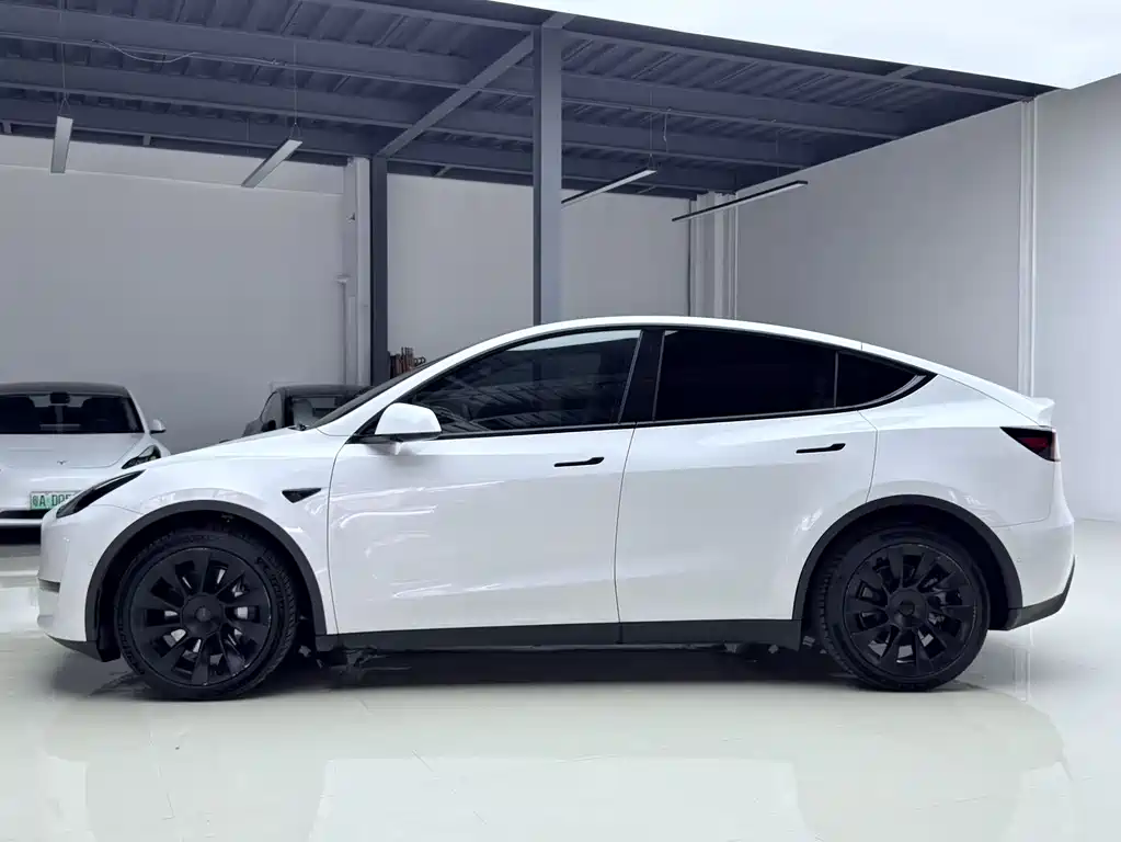 Tesla Model Y 2021 — фото 3