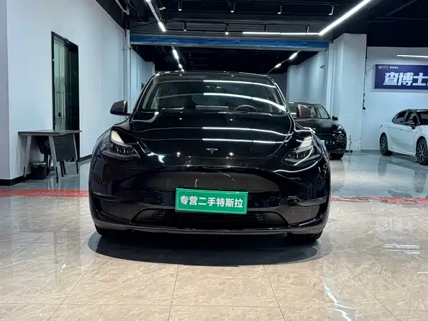 Tesla Model Y 2021