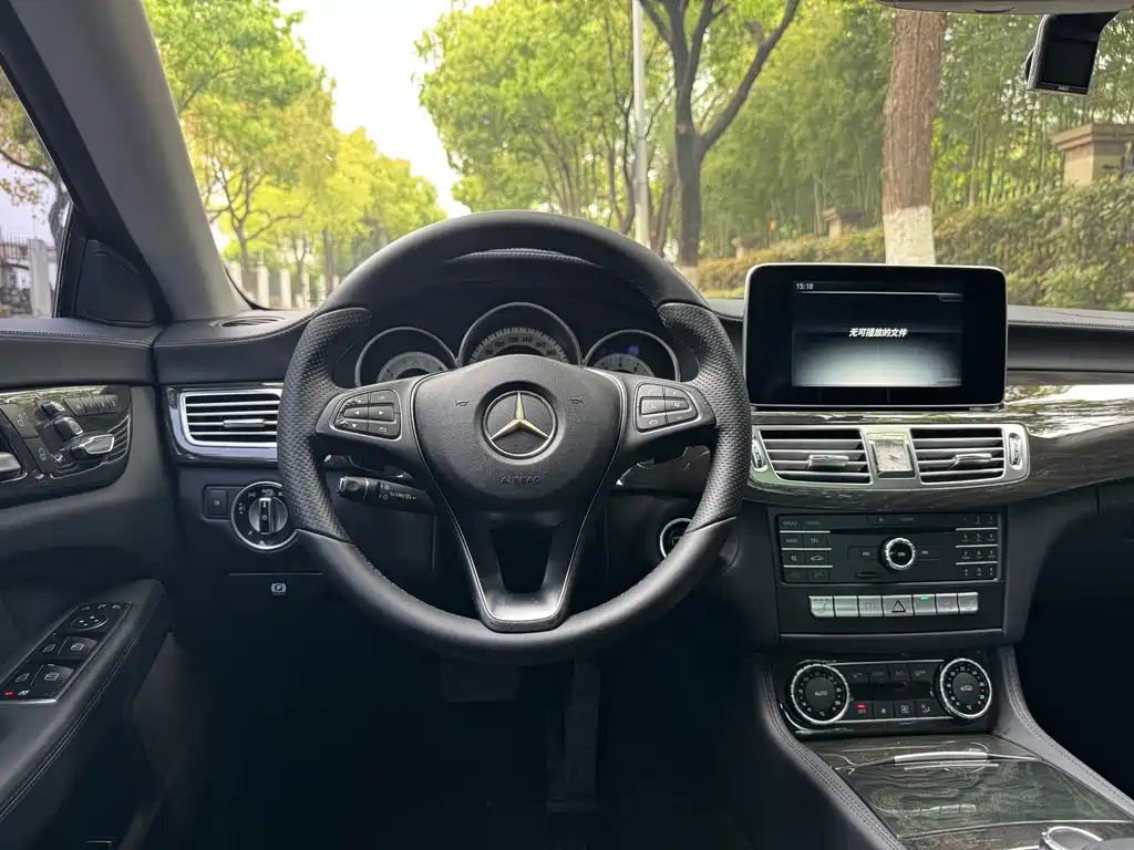 Mercedes-Benz CLS 2015 — фото 14