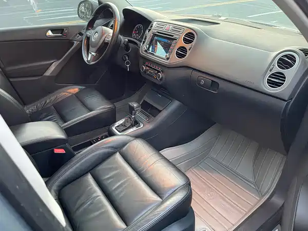 Volkswagen Tiguan 2010