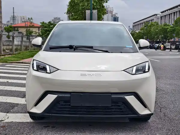 BYD Seagull 2024