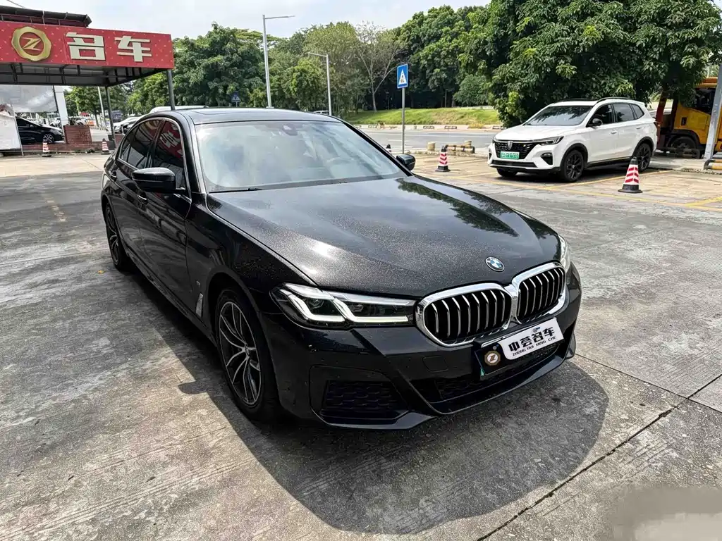 BMW 5 Series New Energy 2021