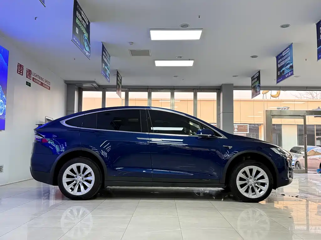Tesla Model X 2018 — фото 4