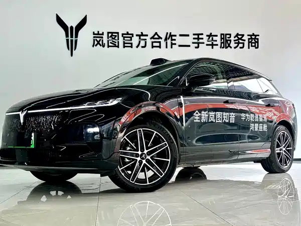 Voyah Zhiyin 2025