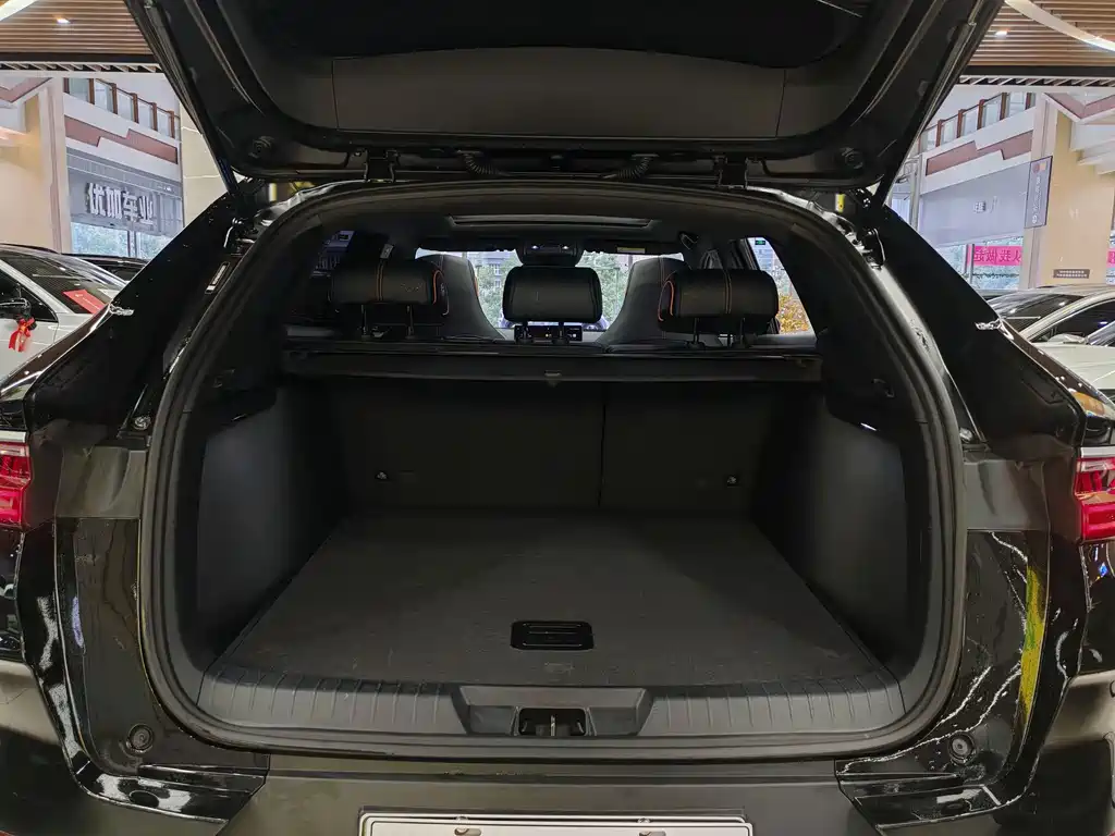 BYD Song PLUS New Energy 2023 — фото 6