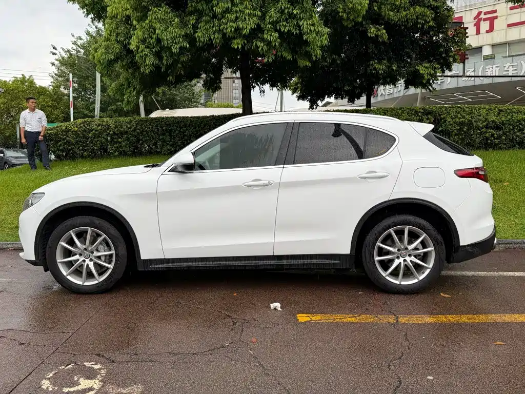 Alfa Romeo Stelvio 2019 — фото 3