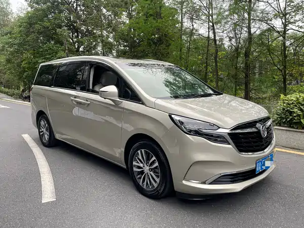 Buick GL8 2020
