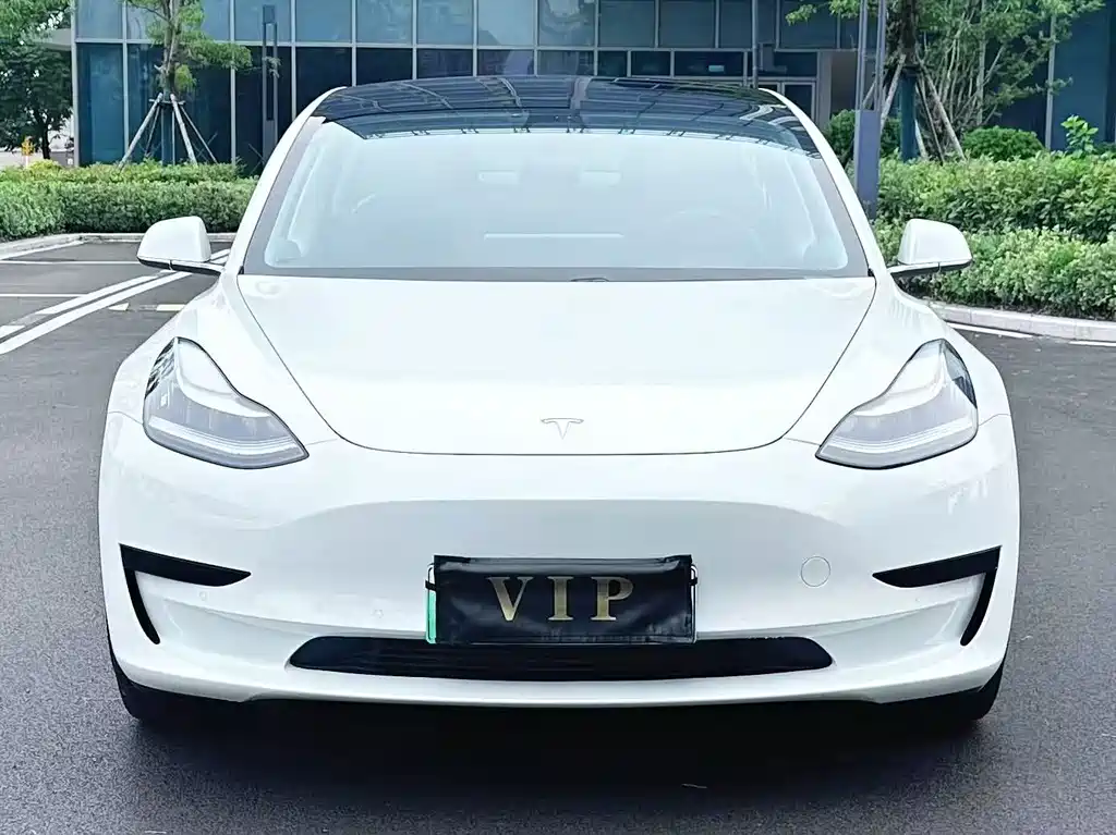 Tesla Model 3 2020 — фото 2