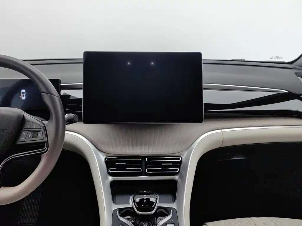 BYD Song Pro New Energy 2025 — фото 12