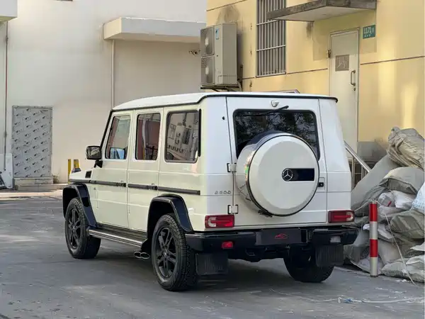 Mercedes-Benz G-Class 2010
