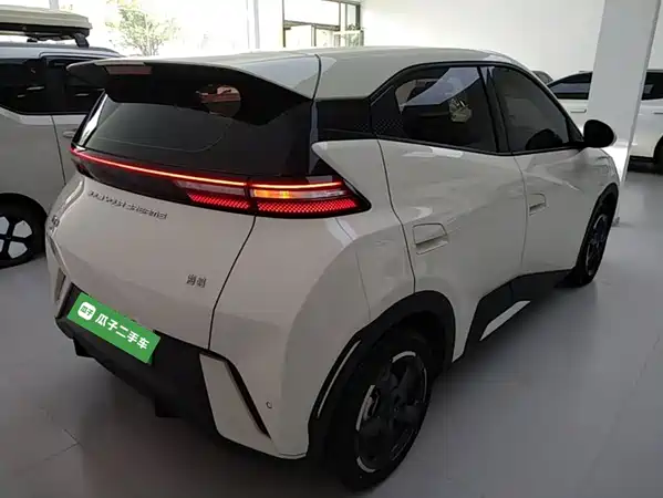BYD Seagull 2024