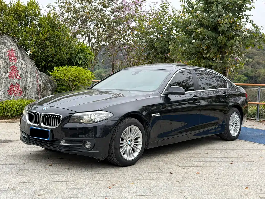 BMW 5 Series 2014 — фото 1