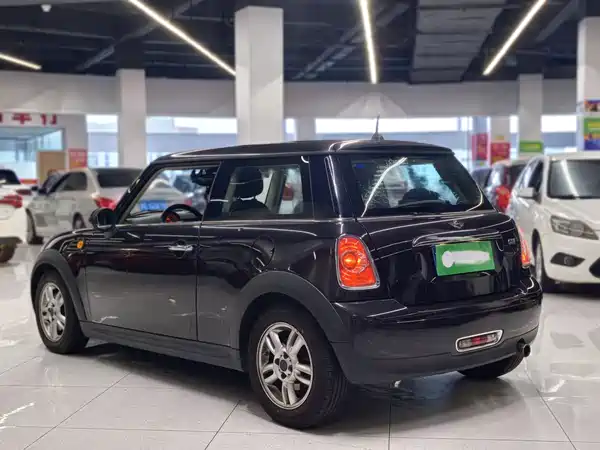 MINI 2013