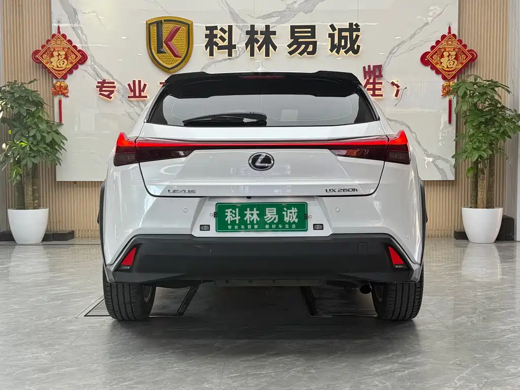 Lexus UX 2020 — фото 31