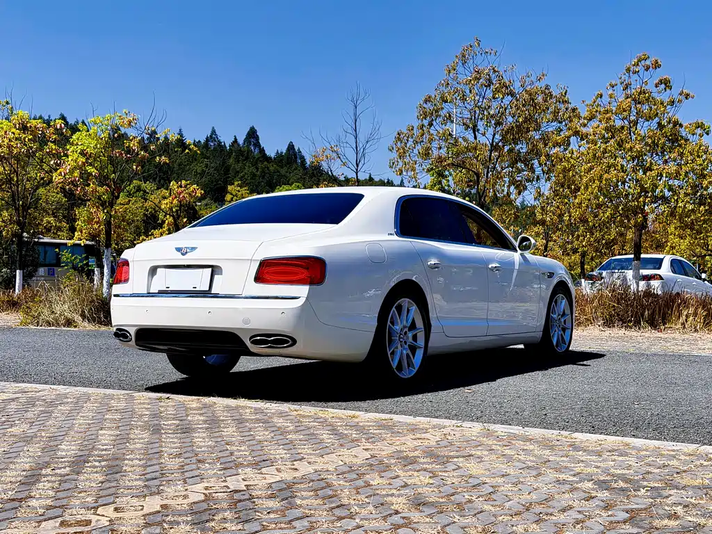 Bentley Flying Spur 2020 — фото 20