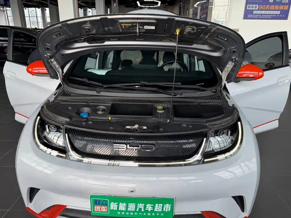 BYD Dolphin 2021 — фото 18