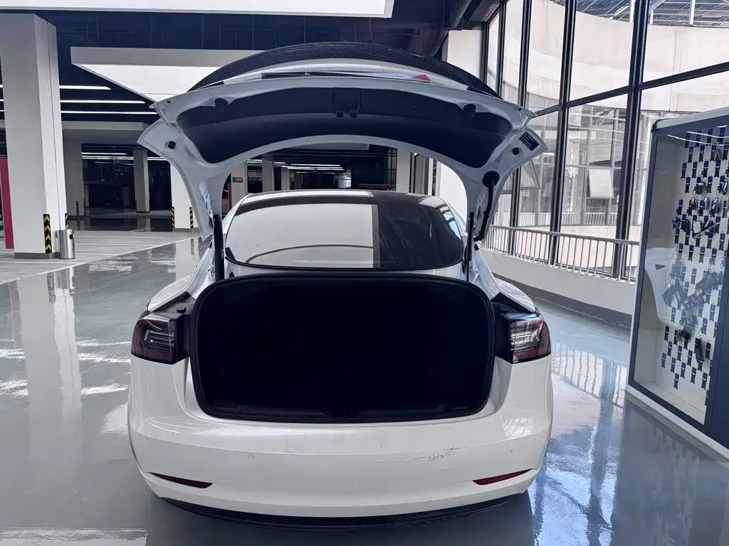 Tesla Model 3 2021 — фото 5