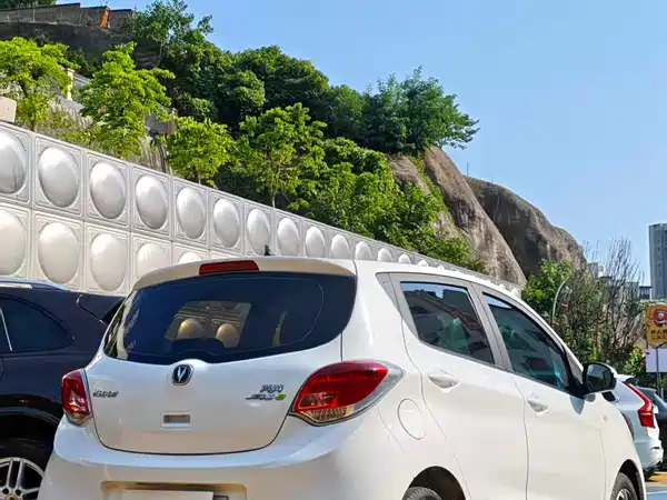 Changan Benben E-Star 2020