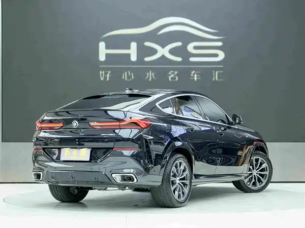 BMW X6 2025