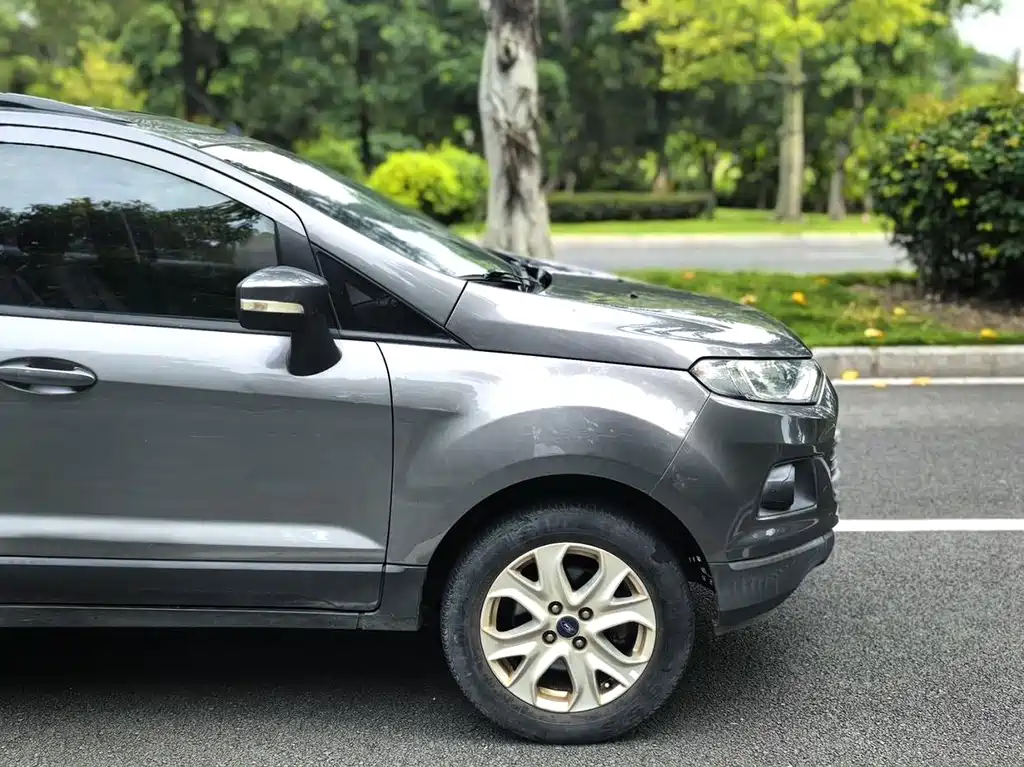 Ford EcoSport 2013 — фото 24