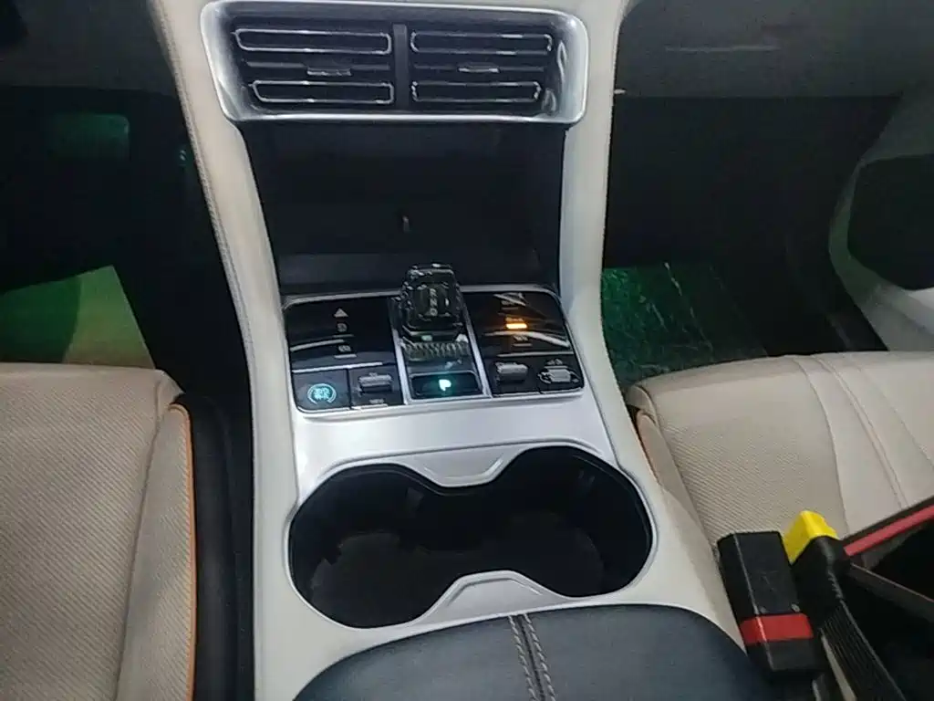 BYD Song PLUS New Energy 2024 — фото 14