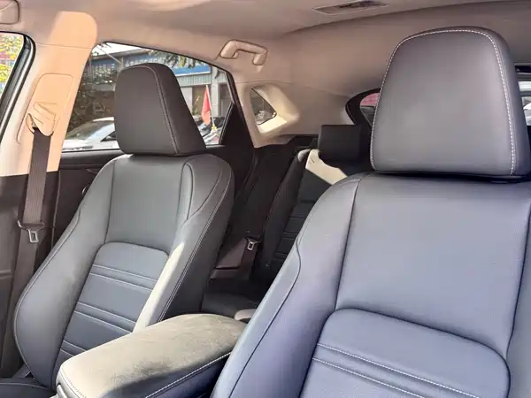 Lexus NX 2020