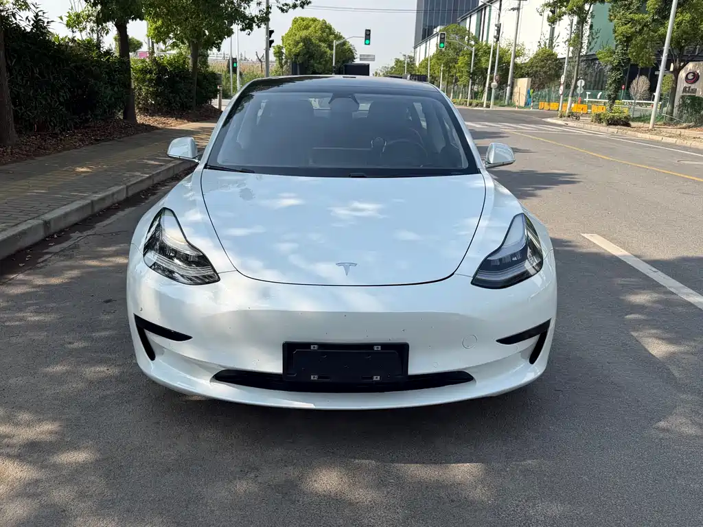 Tesla Model 3 2019