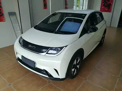 BYD Dolphin 2025