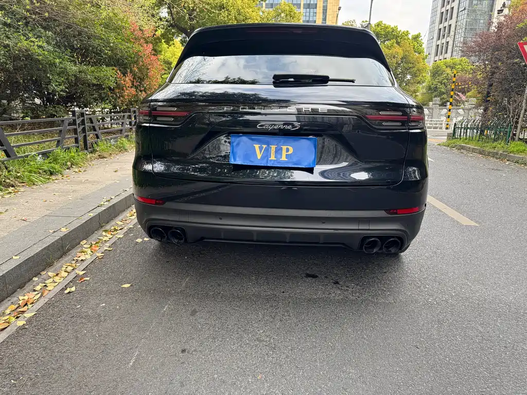 Porsche Cayenne 2019 — фото 10