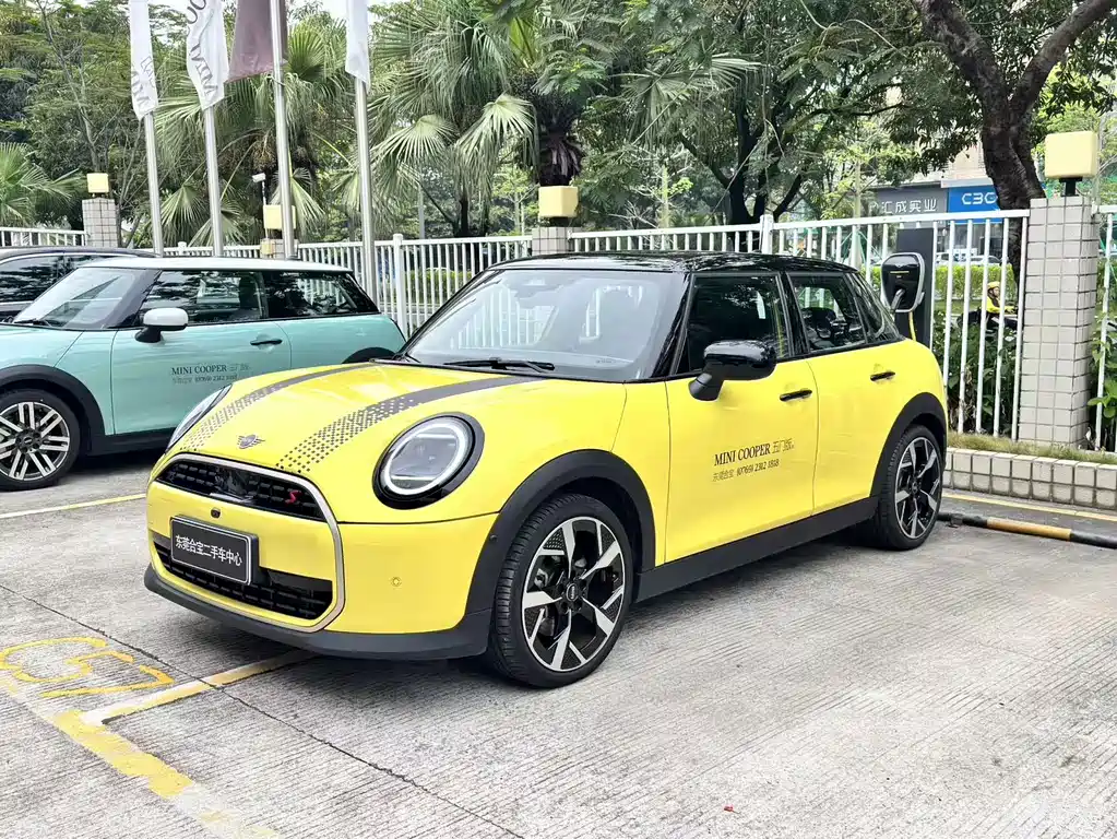 MINI MINI 2024