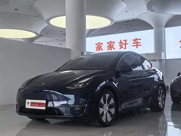 Tesla Model Y 2021