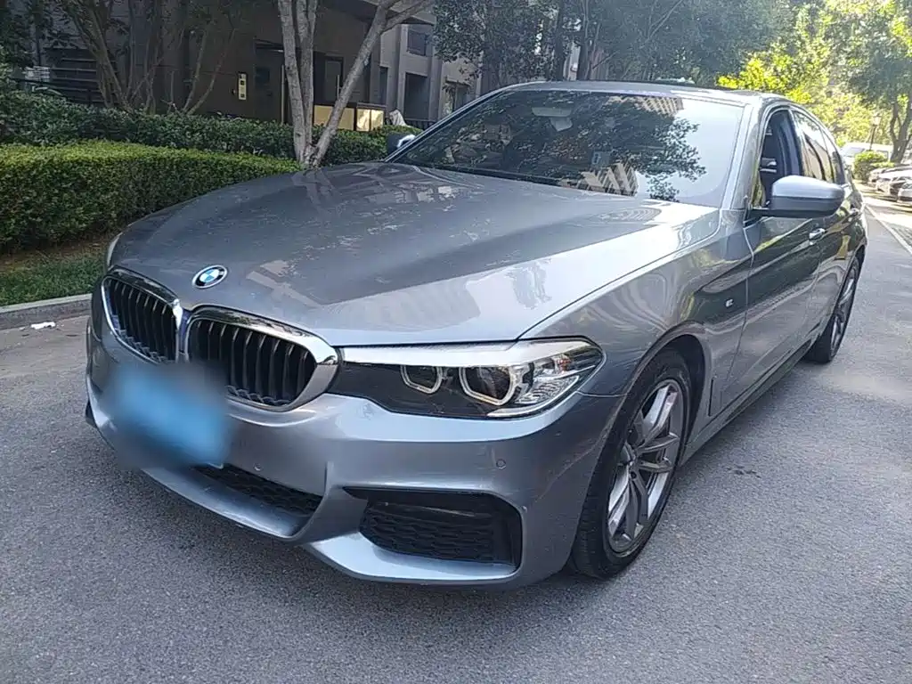 BMW 5 Series 2019