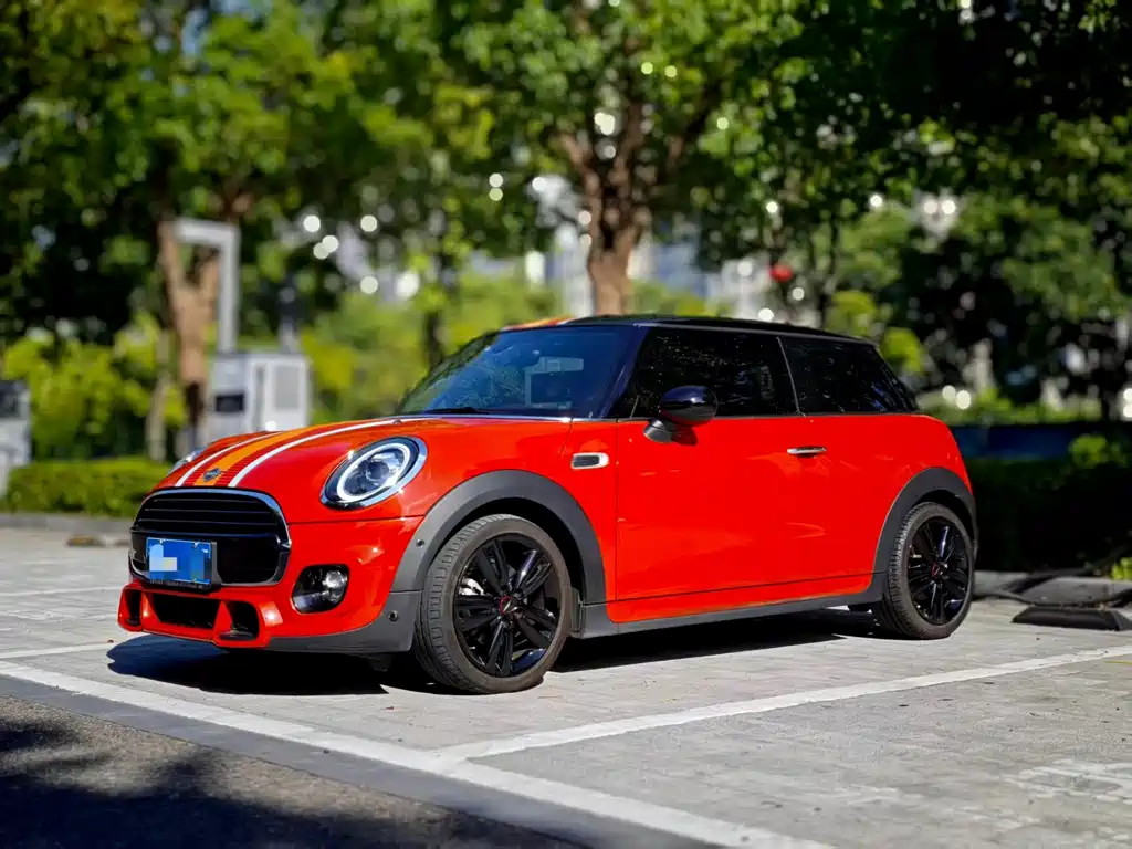 MINI MINI 2019