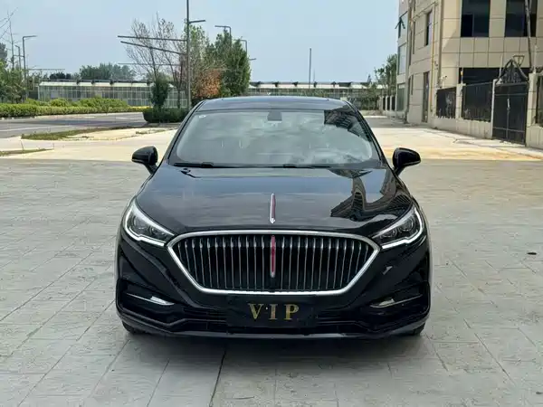 Hongqi H5 2020