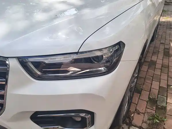 Haval H6 2020