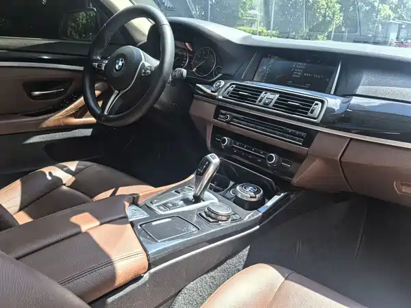 BMW 5 Series 2014