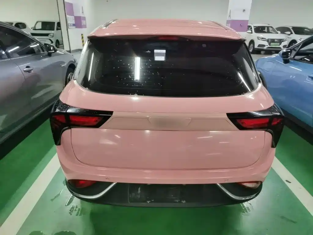 Neta V 2022