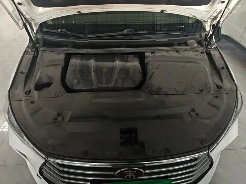 BYD Song MAX 2019 — фото 20