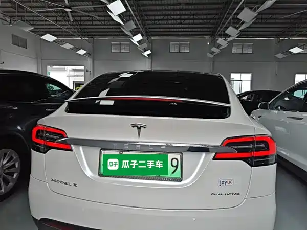 Tesla Model X 2019