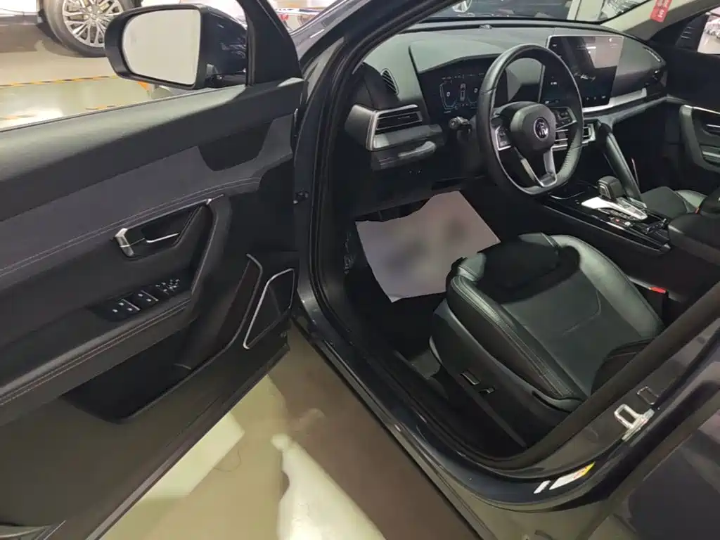 BYD Pro New Energy 2020 — фото 16