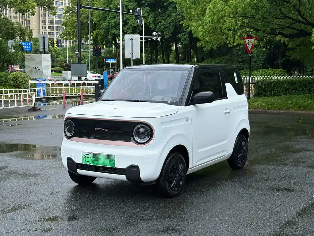 Galaxy Panda 2024