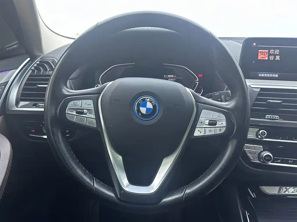 BMW iX3 2020 — фото 14