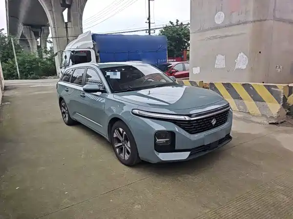 Baojun Valli 2021