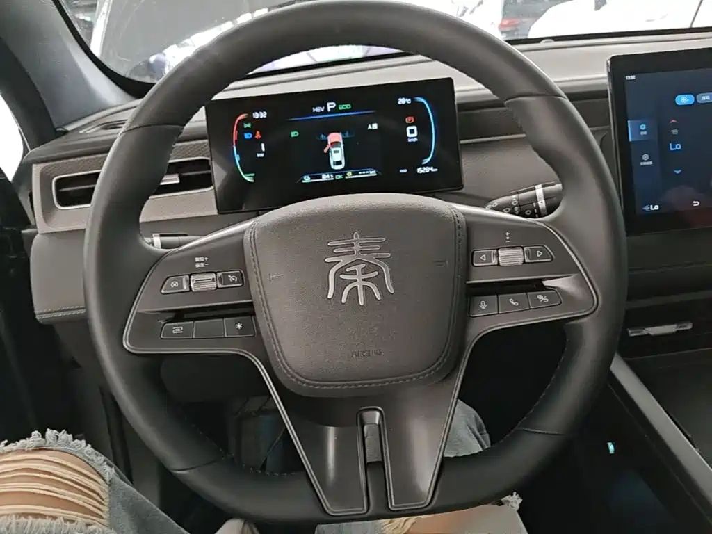 BYD Qin PLUS 2025 — фото 11