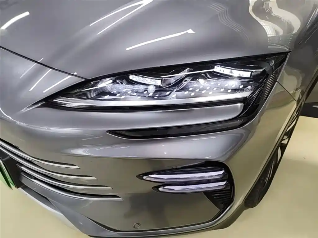 BYD PLUS New Energy 2024 — фото 18