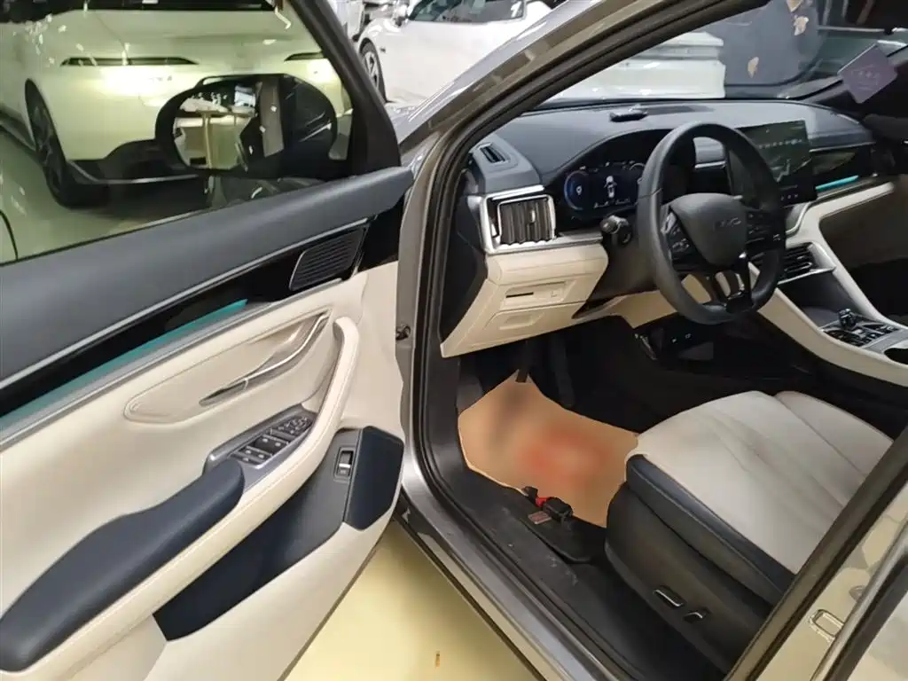 BYD PLUS New Energy 2024 — фото 12