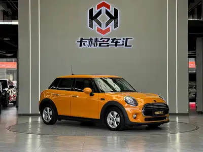 MINI MINI 2015