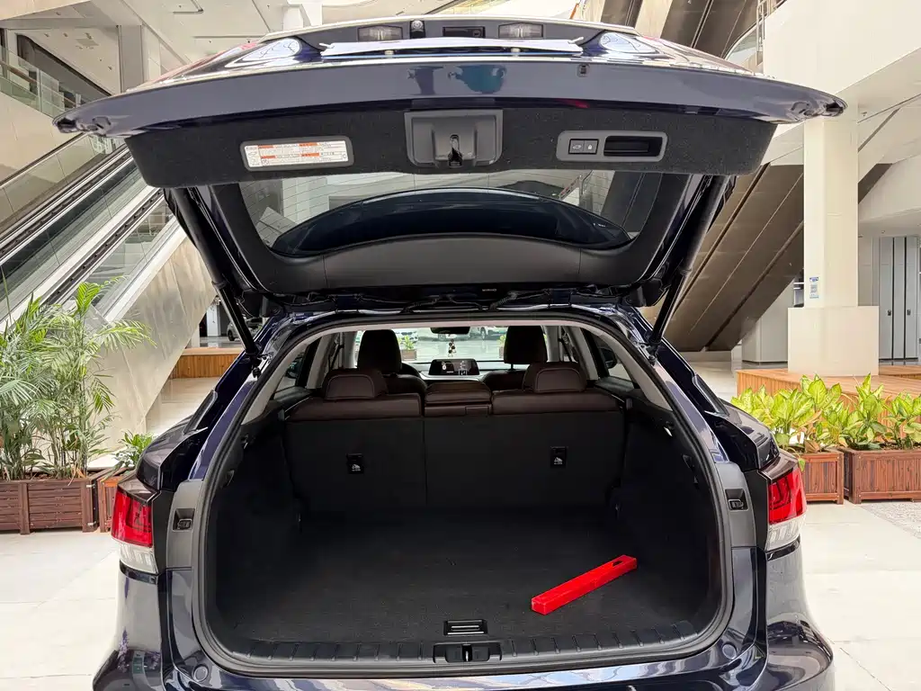Lexus RX 2020 — фото 18